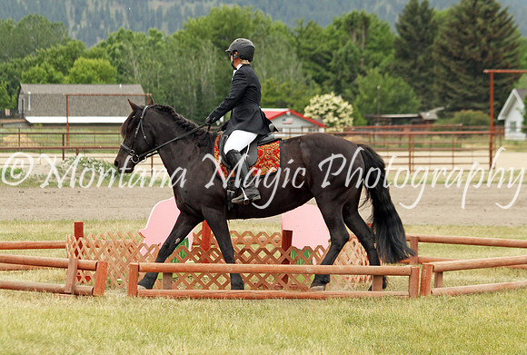 Brin_3626