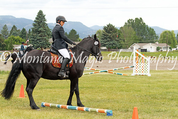 Brin_3634