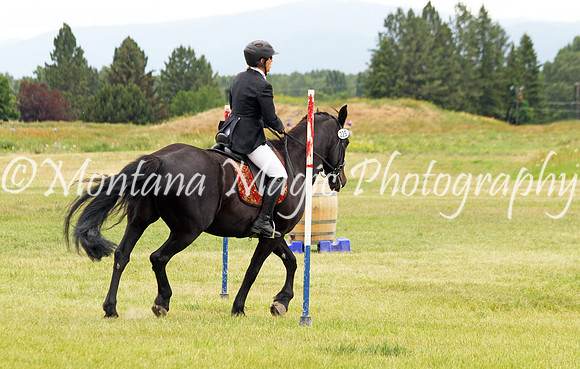 Brin_3640
