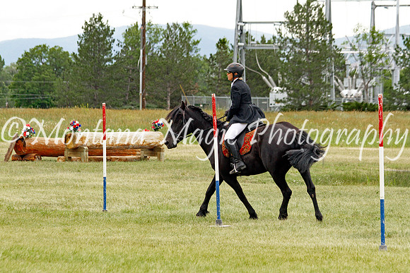 Brin_3643