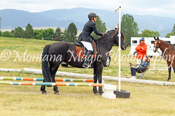 Brin_3649