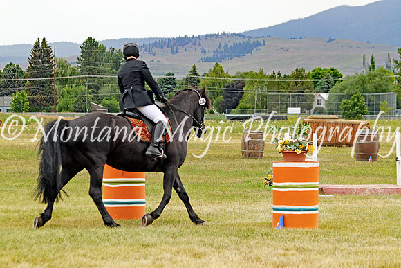Brin_3667