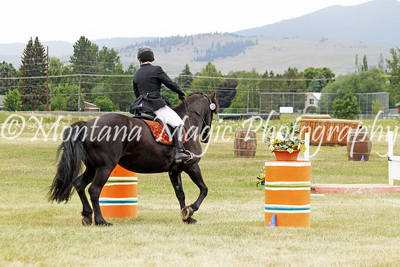 Brin_3668