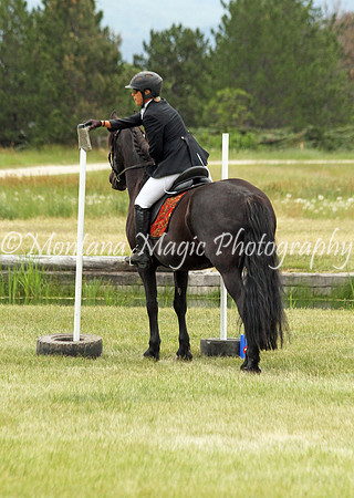 Brin_3673