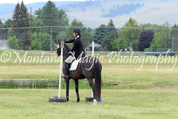 Fiona_1754