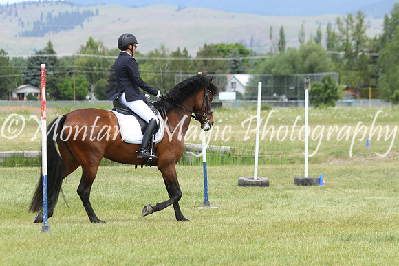 Girasol_3304