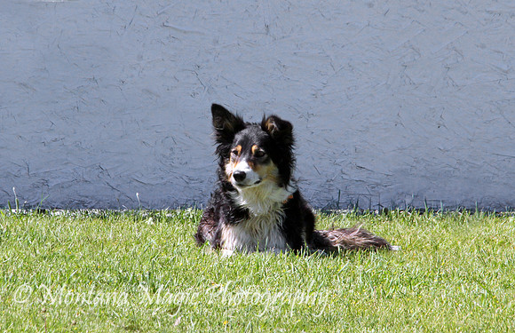 Ray_5771-B