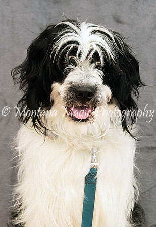 Tucker_0442