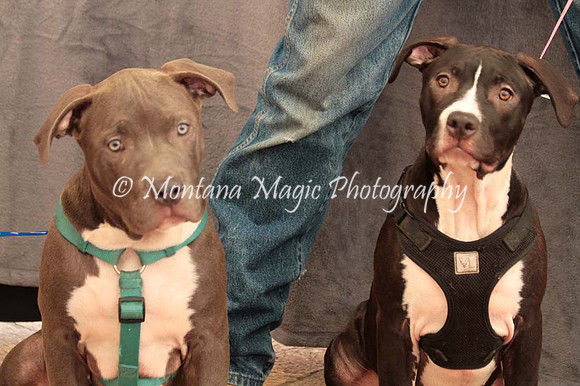 Ezekial & Diamond_0353