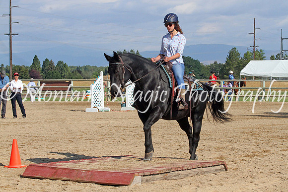 Air Horse One_8856