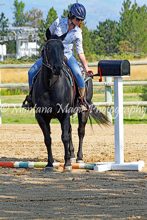 Air Horse One_8853