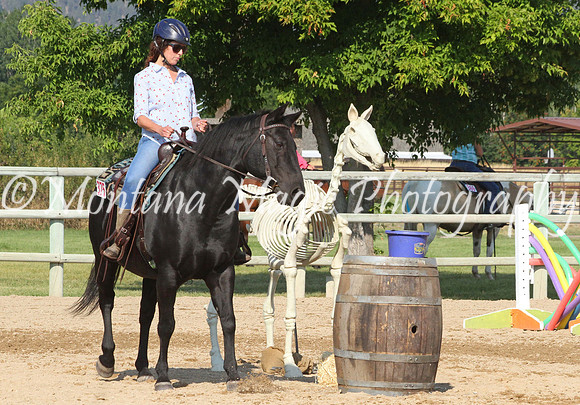 Air Horse One_8861