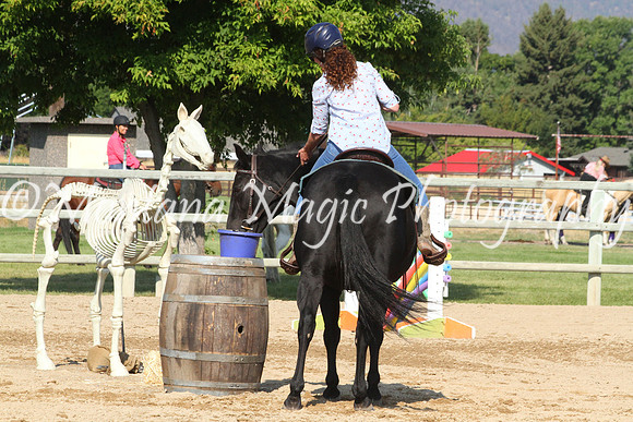 Air Horse One_8863