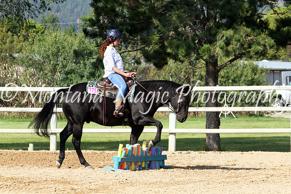 Air Horse One_8867