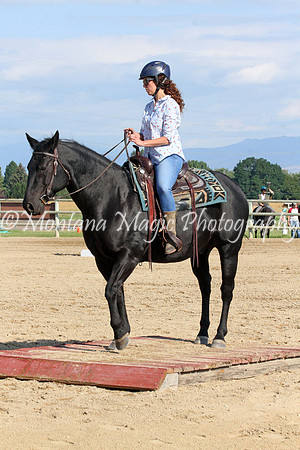 Air Horse One_8858