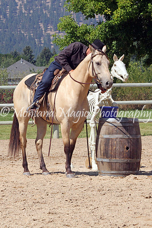 Coco's Dunit Shake_9148