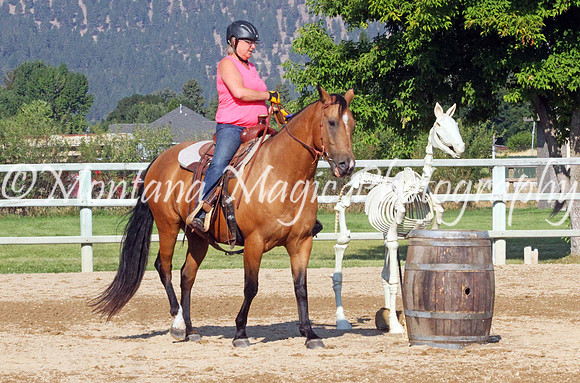 Doc's Shy Jasper_8753