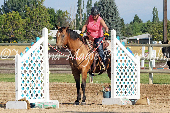 Doc's Shy Jasper_8742