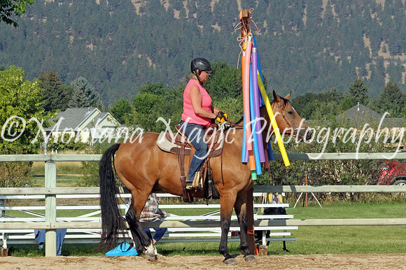 Doc's Shy Jasper_8759