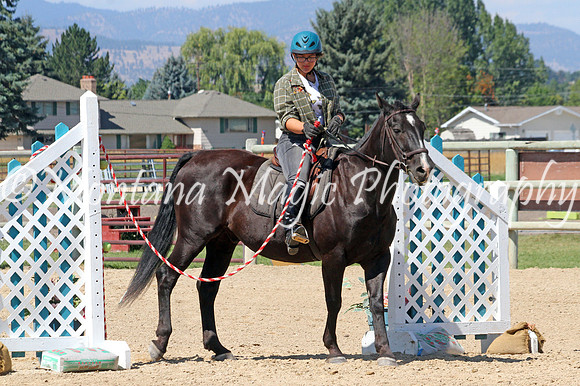 Jack #382_9268