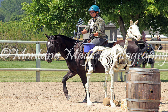 Jack #382_9277