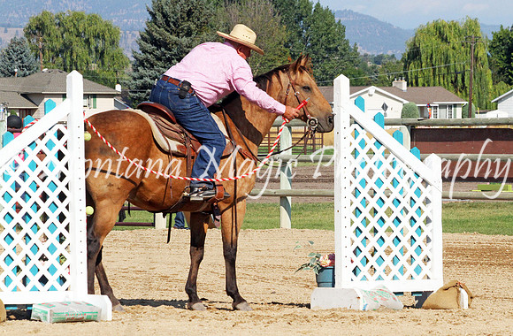Razzle Dazzle Scamp_8820