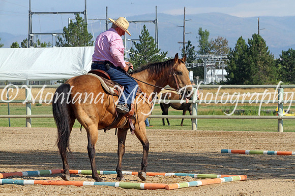 Razzle Dazzle Scamp_8827