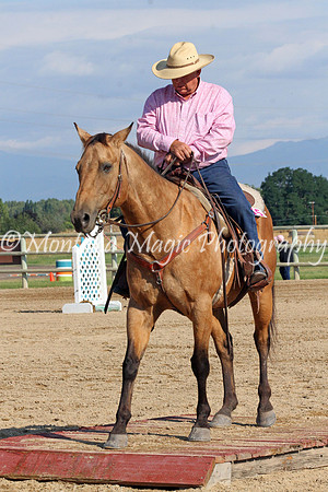 Razzle Dazzle Scamp_8831