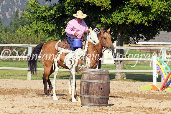 Razzle Dazzle Scamp_8835