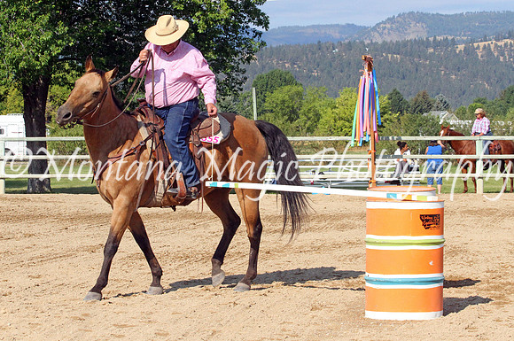 Razzle Dazzle Scamp_8839