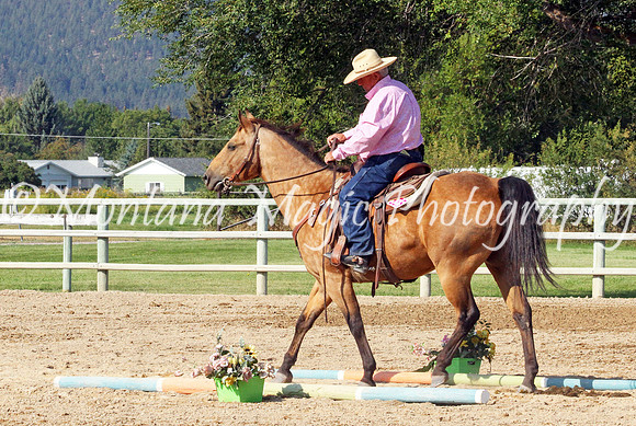 Razzle Dazzle Scamp_8842