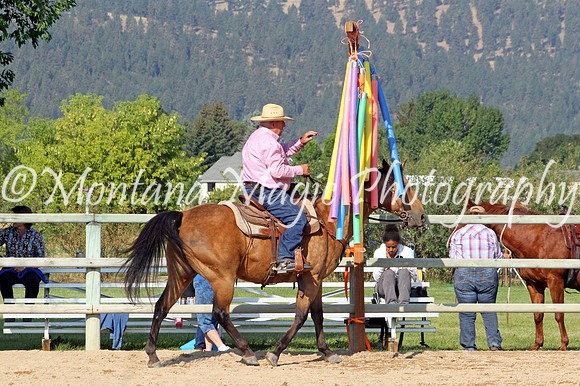 Razzle Dazzle Scamp_8844