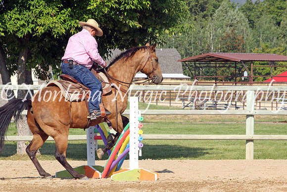 Razzle Dazzle Scamp_8846