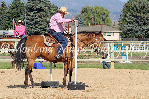 Razzle Dazzle Scamp_8848