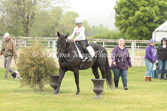 Air Horse One_2943