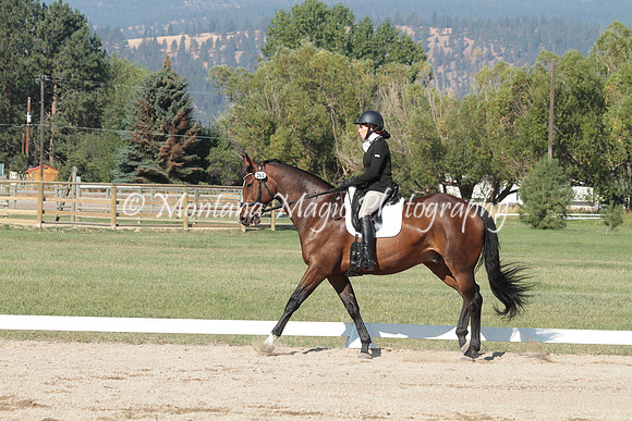 Fairsing Moondance_7773