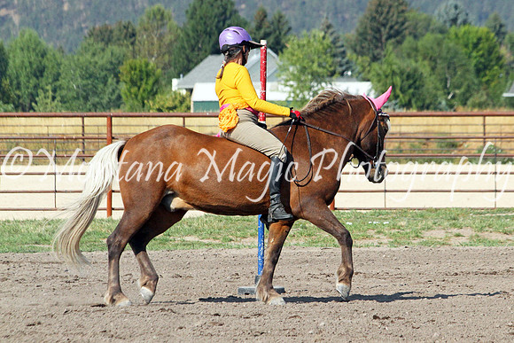 Little Bear_0121