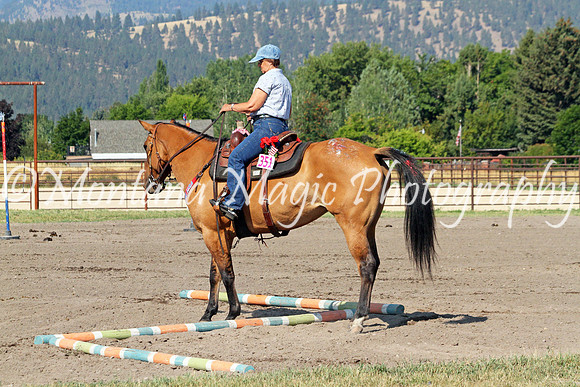 Stevie_0071