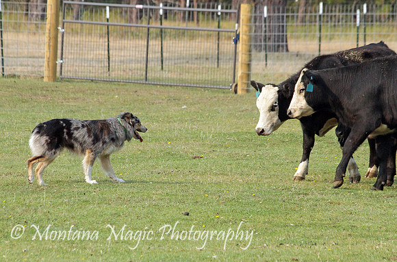 Jack_0908