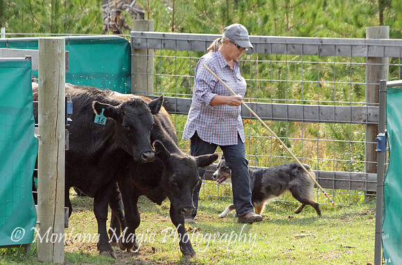 Nellie_0955