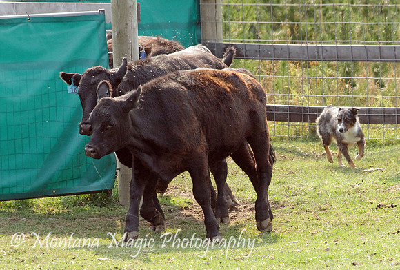 Nellie_0956