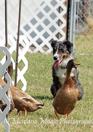 Nellie_1232