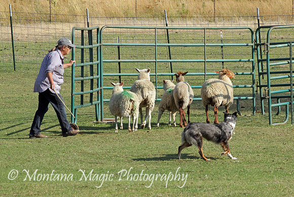 Nellie_1372