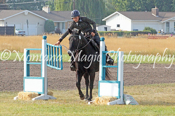 Air Horse One_2527