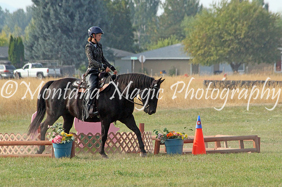 Air Horse One_2553