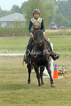Air Horse One_3634