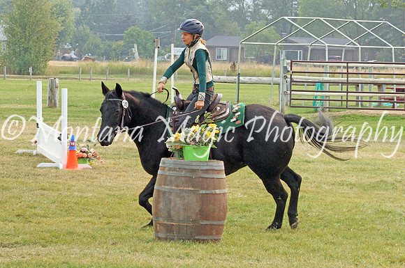 Air Horse One_3640