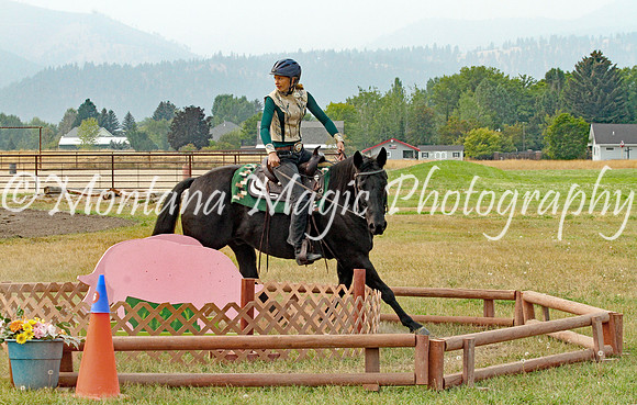 Air Horse One_3642