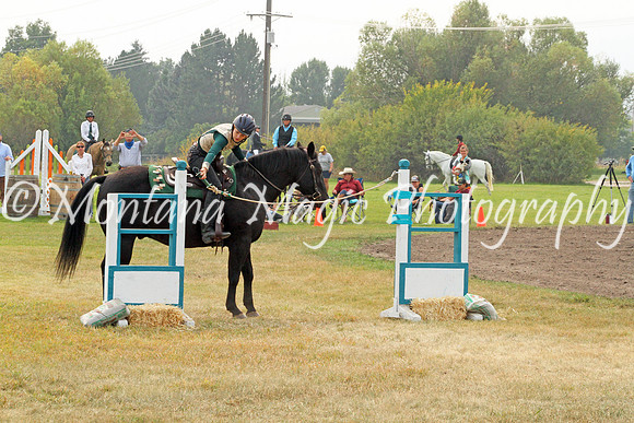 Air Horse One_3648