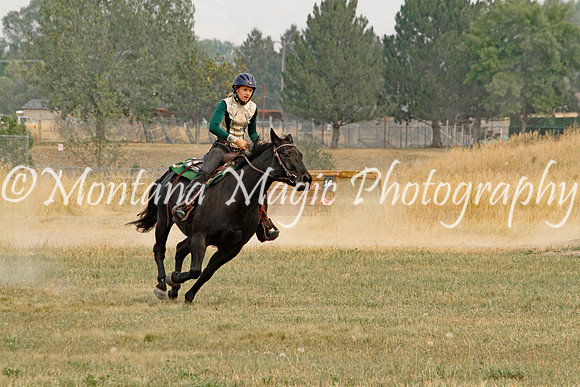 Air Horse One_3655